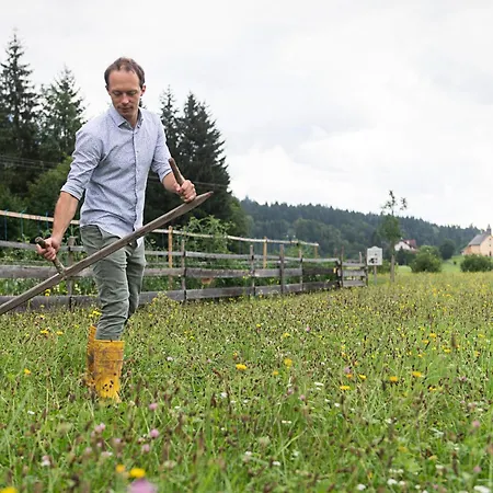 Hotell Schloss Lerchenhof Hermagor-Pressegger See