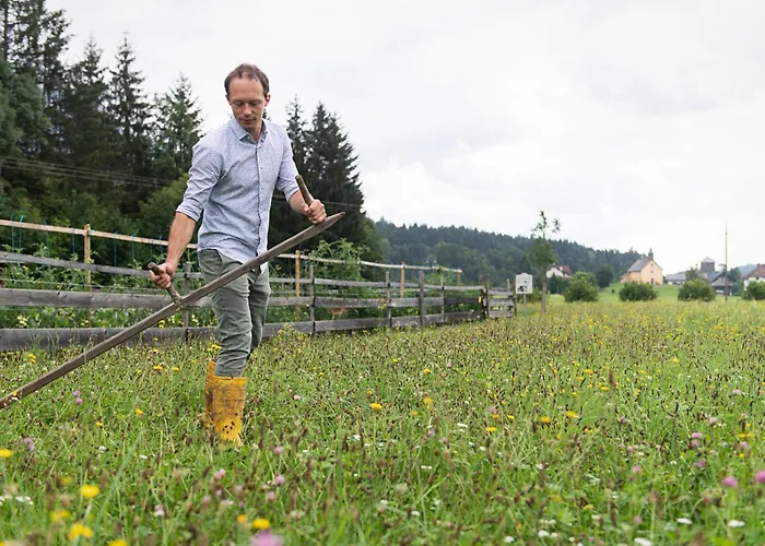 Hotell Schloss Lerchenhof Hermagor-Pressegger See